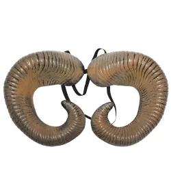 Cuernos de cabra