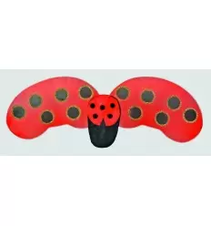 Ladybug wings