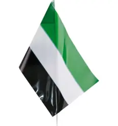 Bandera Extrmadura con palo pvc 20x30 cm