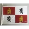 Pack 2 bandera de plastico de castilla y leon