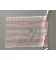 Bandera de plastico de aragon 2