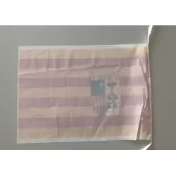 Pack 2 Bandera de plastico de aragon