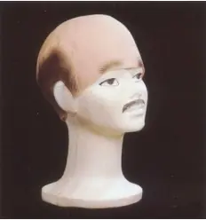 Peruca careca com cabelo pintado