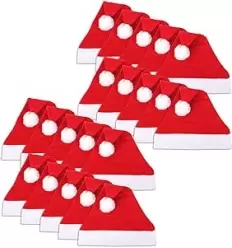 Santa"s importation cap