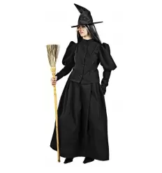 Disfraz bruja clasica adulto