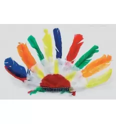 Feather war bonnet