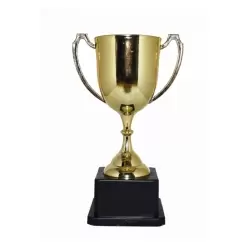 COPA TROFEO DORADO 20X11CM