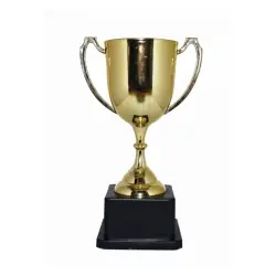 Taça troféu dourada 20x11 cm