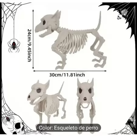 ESQUELETO PERRO 23X31 CM