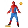 Spiderman classic costume
