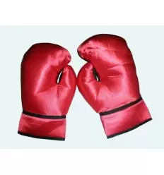 Paire gants boxeur