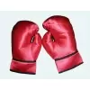 Paire gants boxeur