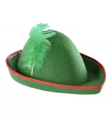 Robin hood felt hat