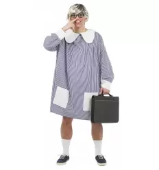 Schol frock adult costume