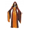 Medieval court lady costume
