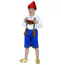 Dutch/tulip boy costume