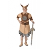 Viking boy costume