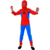 Spiderman kids costume