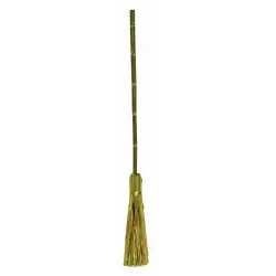 Witch"s broom