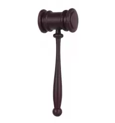 COMPLEMENTO MAZO JUEZ