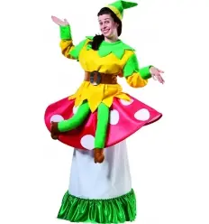 Elf on seta traje do adulto
