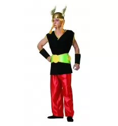 Viking asterix men costume