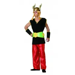 Viking asterix men costume