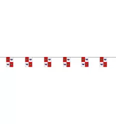 GUIRNALDA 10 MT. BANDERA DE CASTILLA Y LEON 60X40 CM.