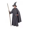 DISFRAZ MAGO GRIS INFANTIL