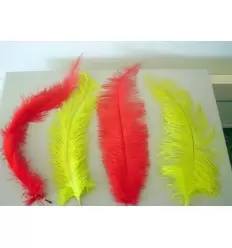 Spadon feather 55 cm.