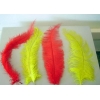 Spadon feather 55 cm.