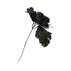 Flor negra