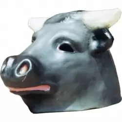 Bull big-head