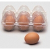 Fake eggs