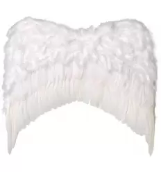 Alas angel plumas