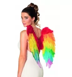 ALAS DE PLUMAS ARCOIRIS