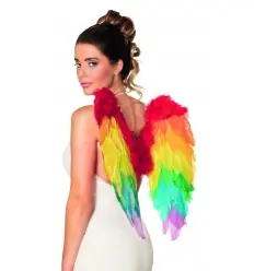 ALAS DE PLUMAS ARCOIRIS