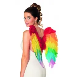 ALAS DE PLUMAS ARCOIRIS
