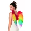 ALAS DE PLUMAS ARCOIRIS
